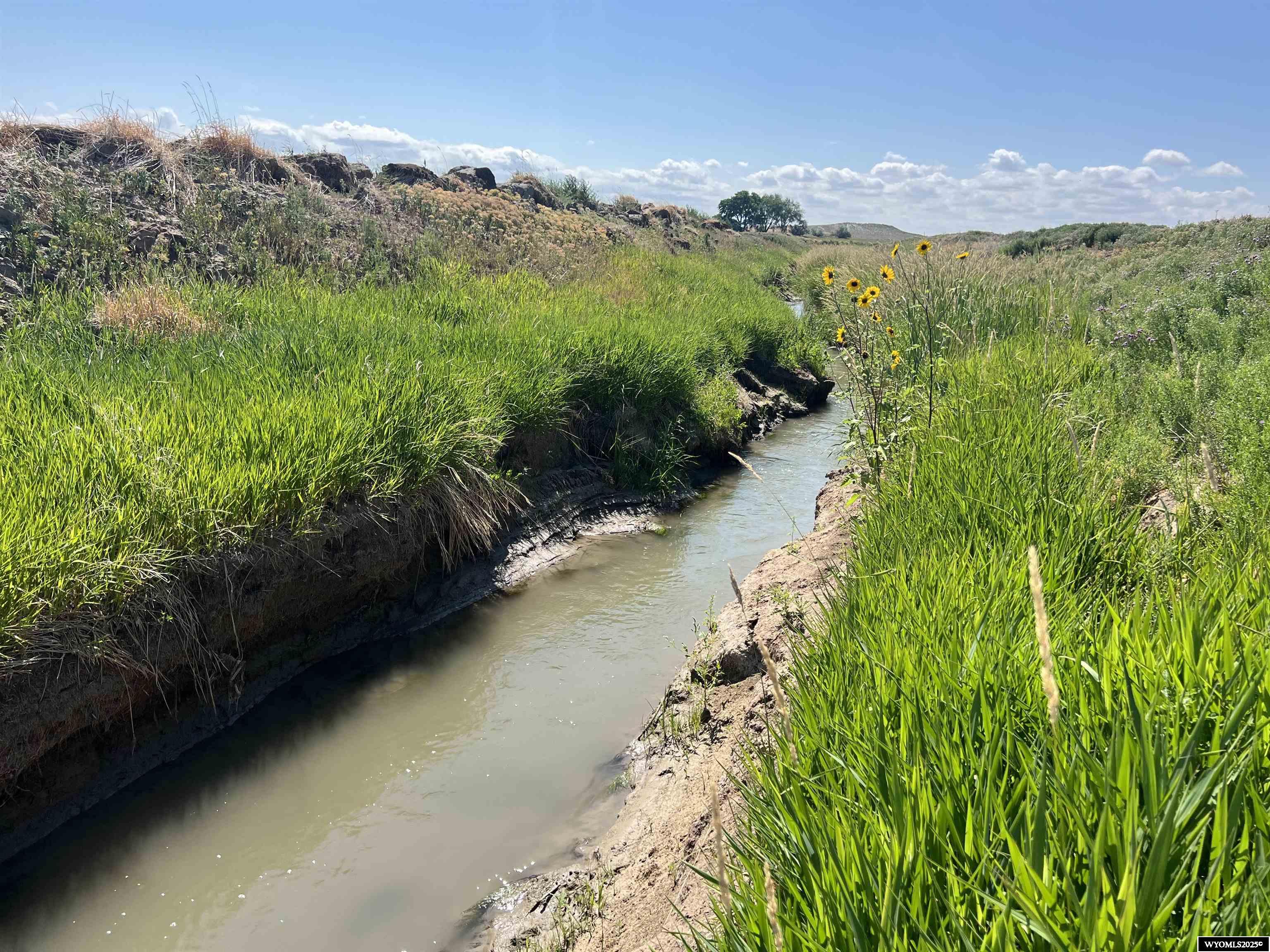 0 Tunnel Hill Road Pavillion, WY 82523 - Photo 16 of 49