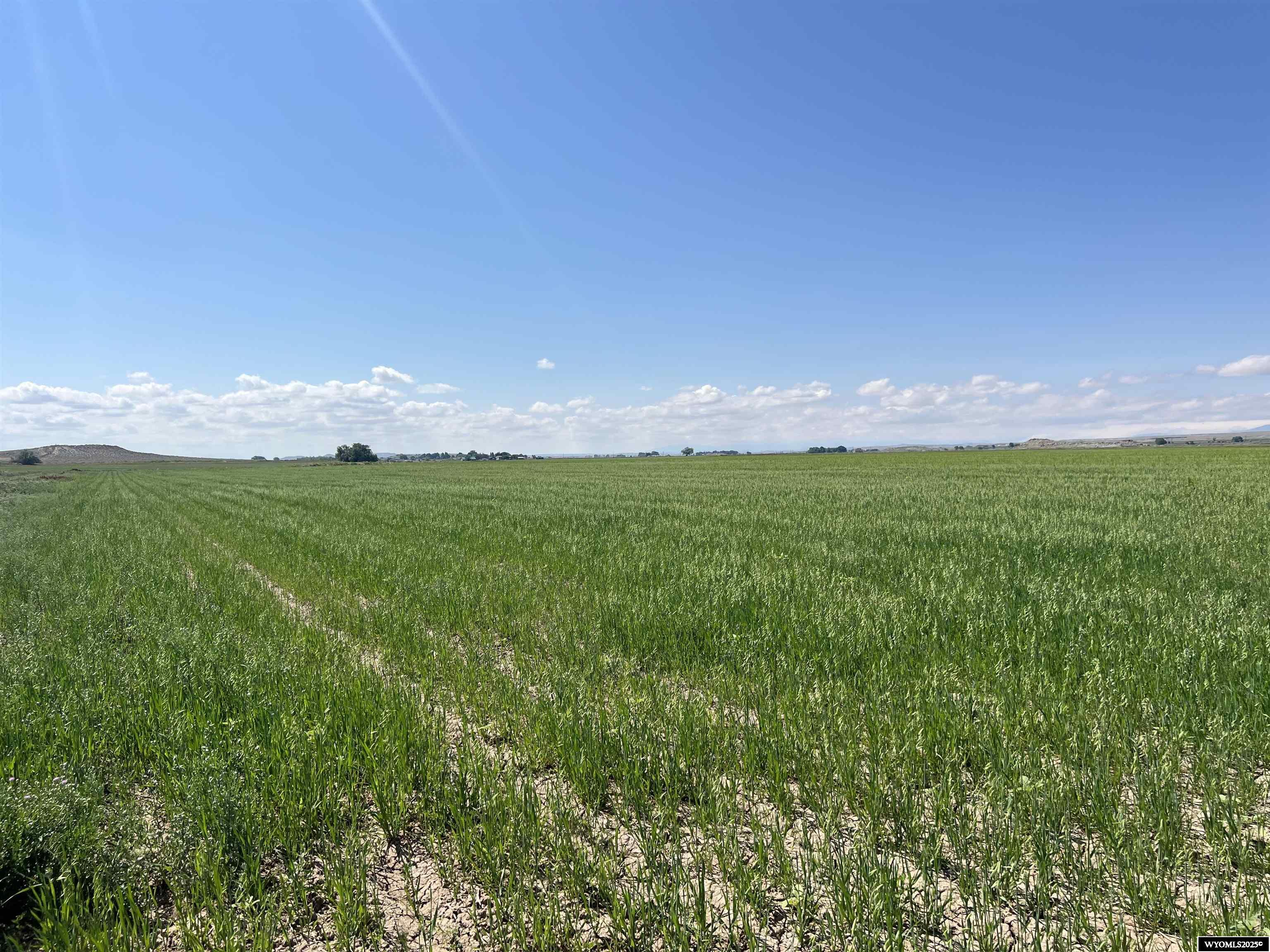 0 Tunnel Hill Road Pavillion, WY 82523 - Photo 19 of 49