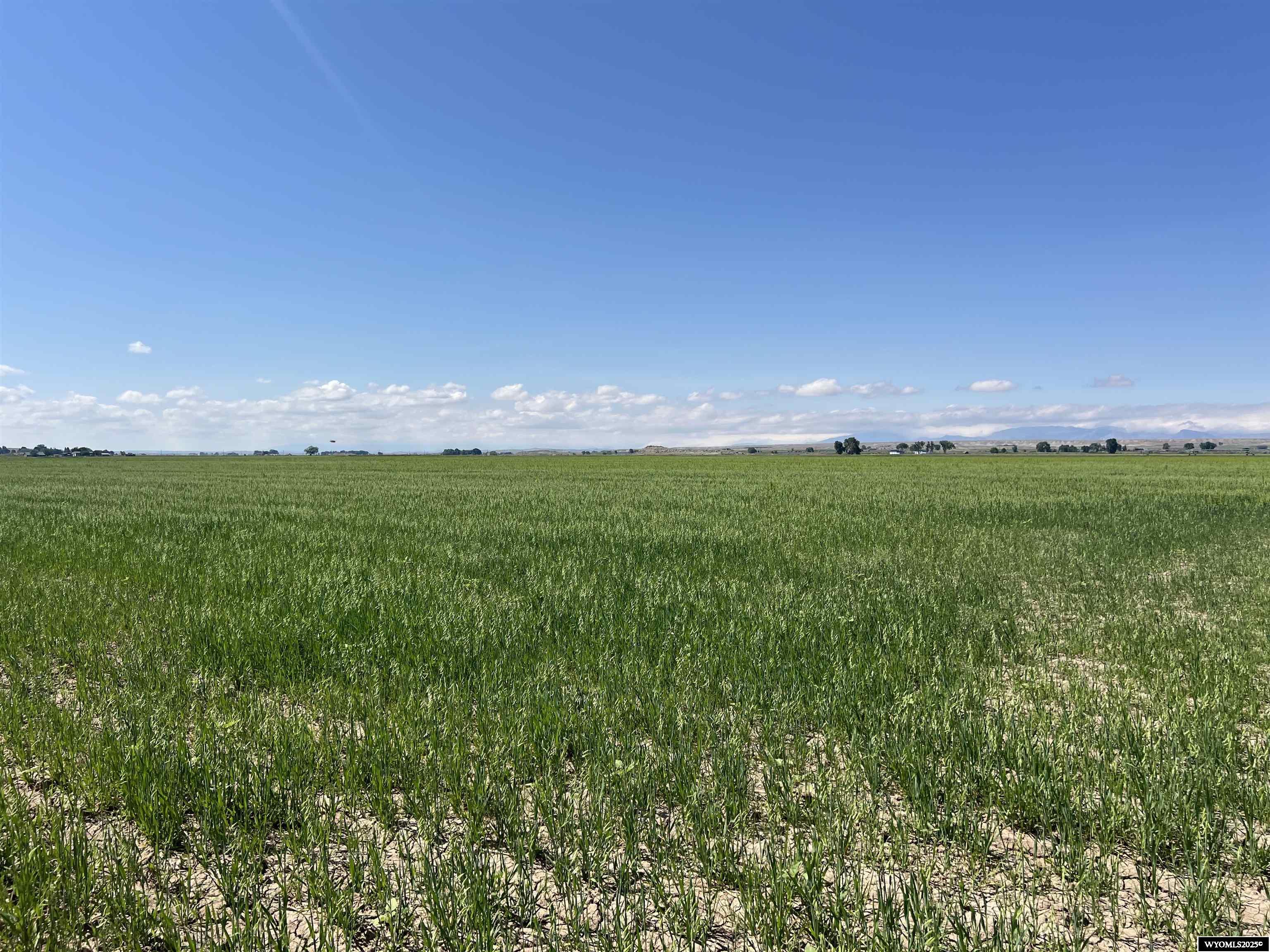 0 Tunnel Hill Road Pavillion, WY 82523 - Photo 20 of 49