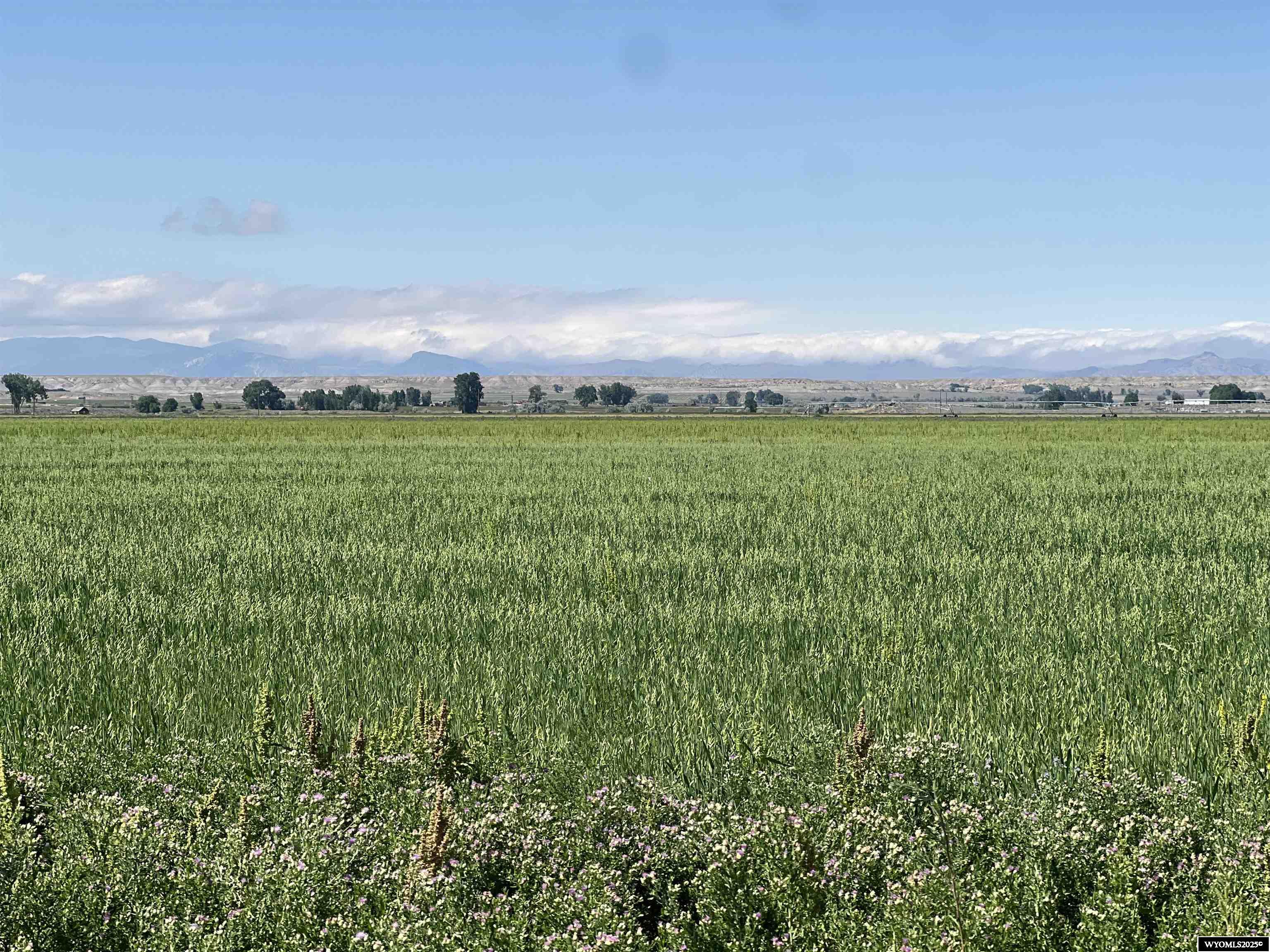 0 Tunnel Hill Road Pavillion, WY 82523 - Photo 26 of 49