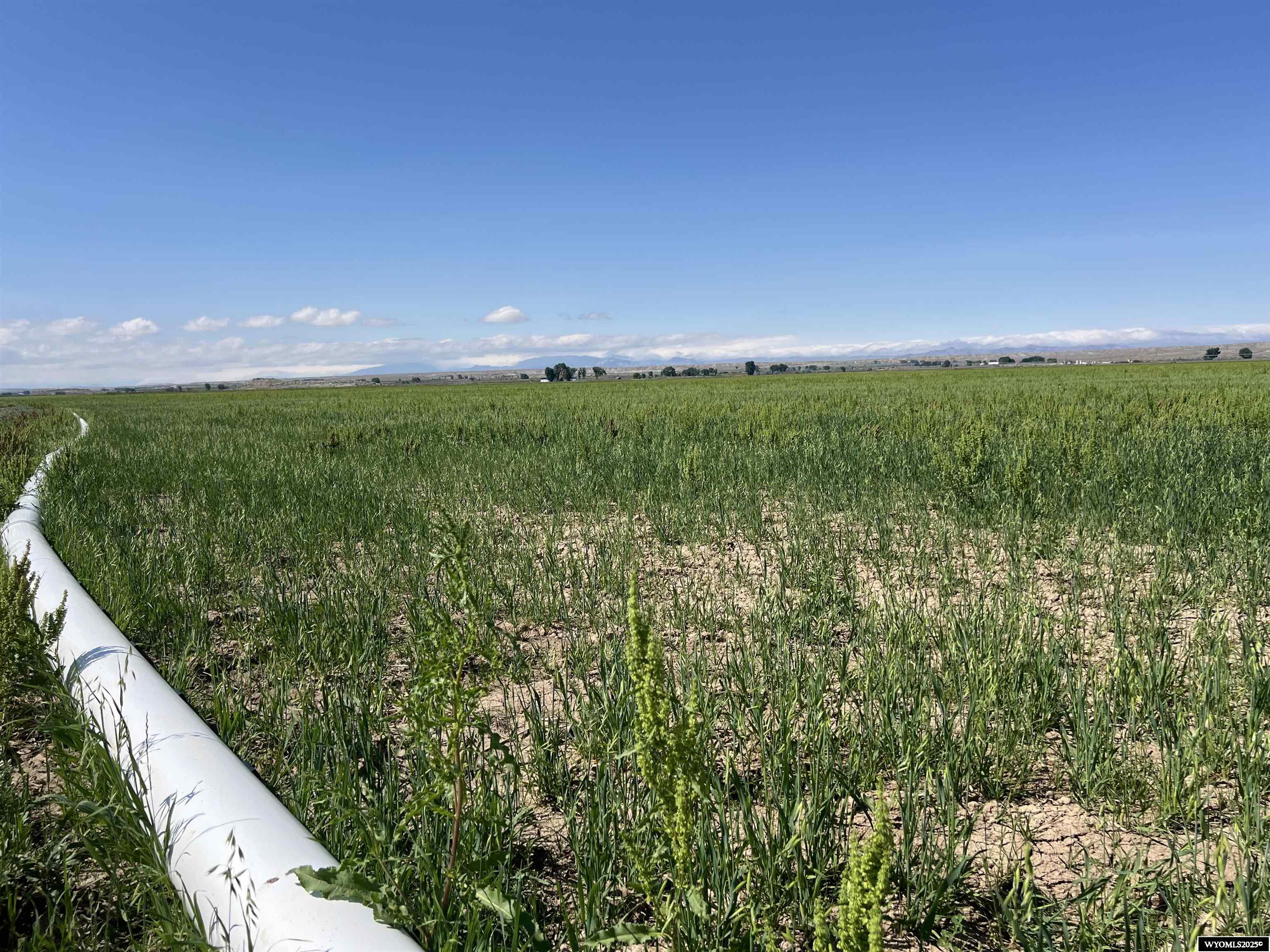 0 Tunnel Hill Road Pavillion, WY 82523 - Photo 29 of 49