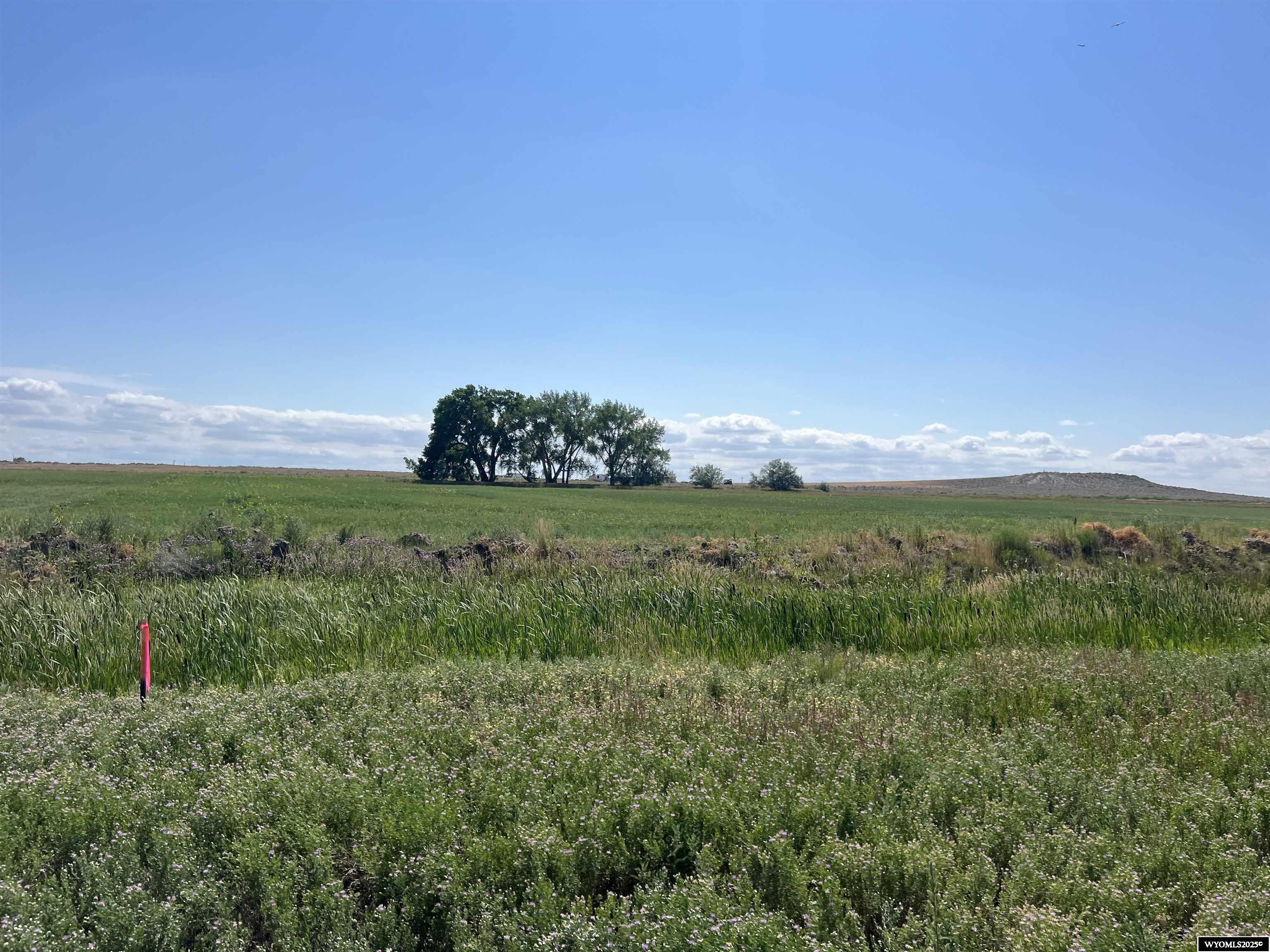 0 Tunnel Hill Road Pavillion, WY 82523 - Photo 32 of 49