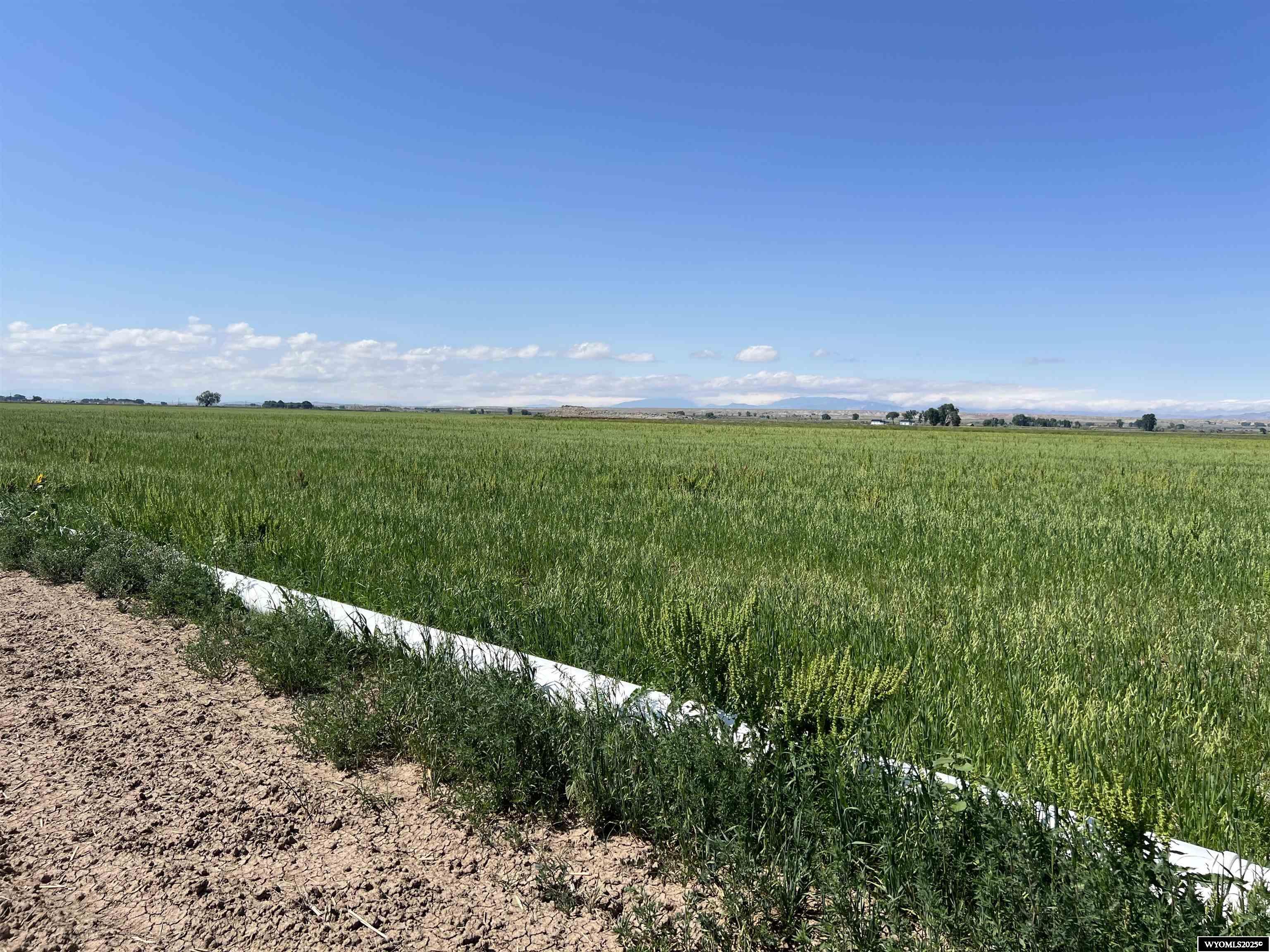 0 Tunnel Hill Road Pavillion, WY 82523 - Photo 34 of 49