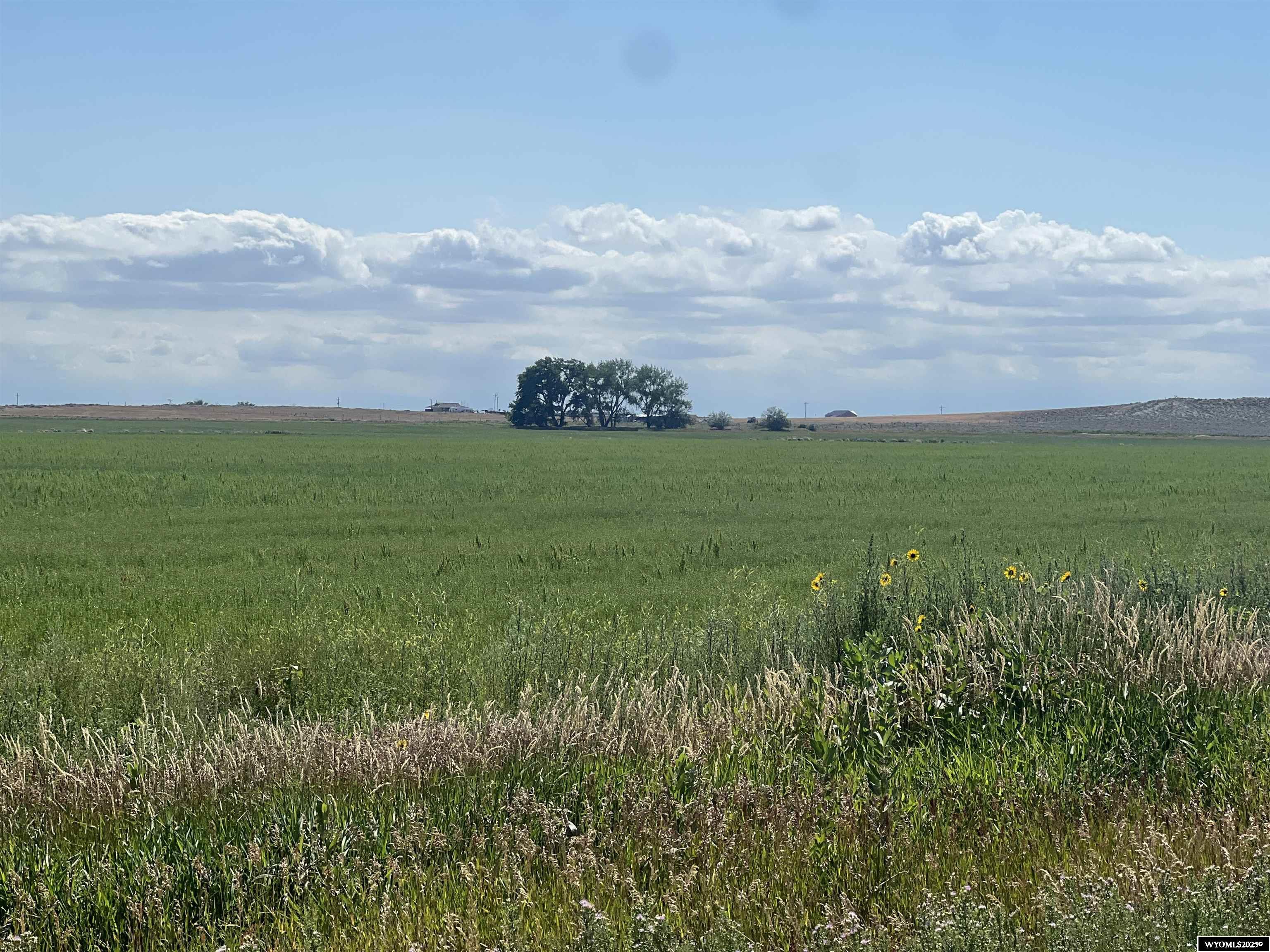 0 Tunnel Hill Road Pavillion, WY 82523 - Photo 42 of 49