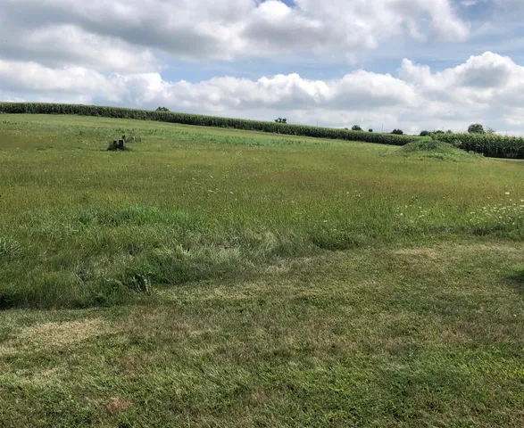 a view of a field with an trees in the background