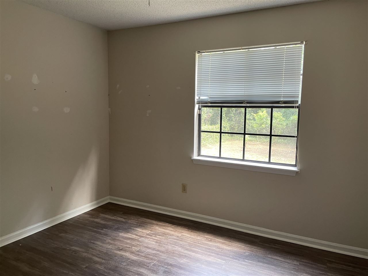 216 Timberlane Road Tallahassee, FL 32312 - Photo 9 of 24 Gallery Image 9