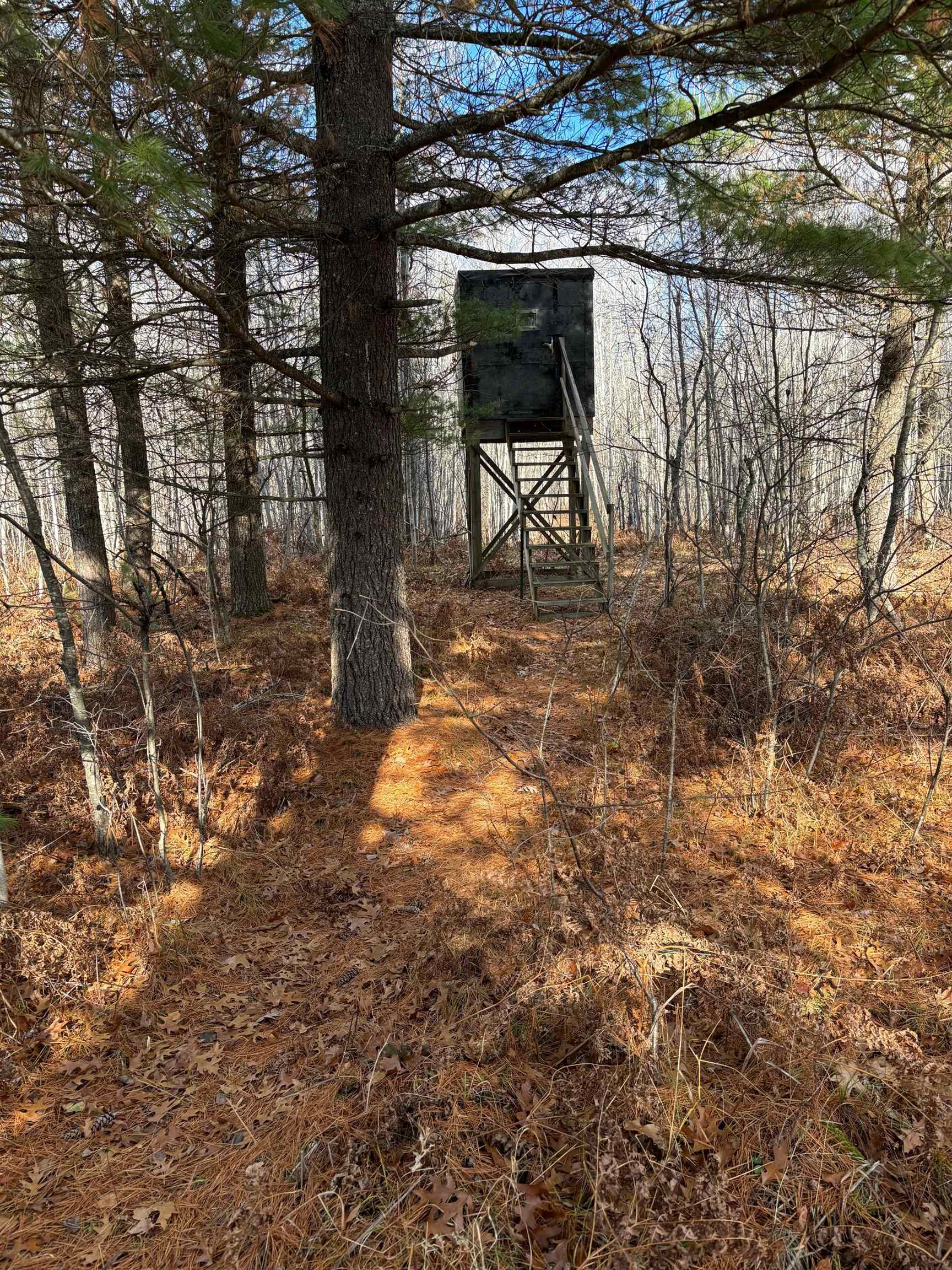 40-acres Brown Bridge Road Traverse City, MI 49696 - Photo 6 of 6 Gallery Image 6