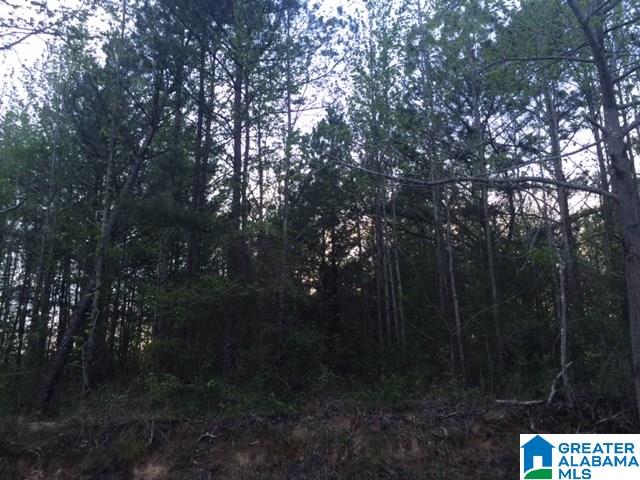 161 Shipp Road, Unit 1 Warrior, AL 35180 - Photo 2 of 2