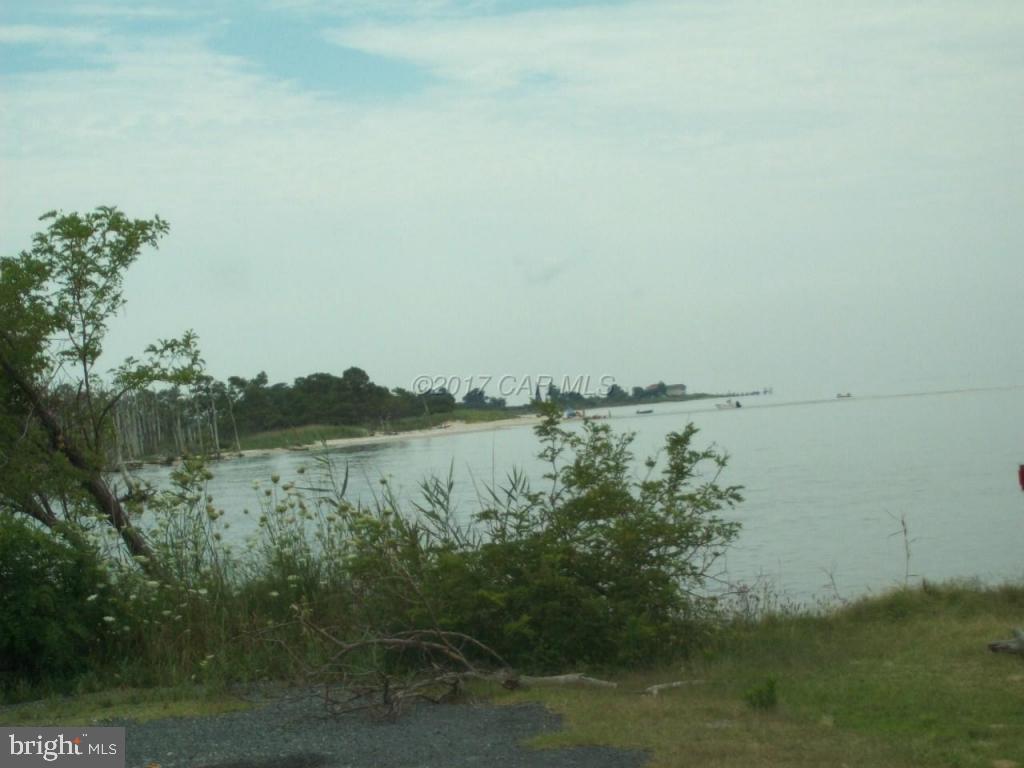 23109 Harrison Road Deal Island, MD 21821 - Photo 44 of 48 Gallery Image 44