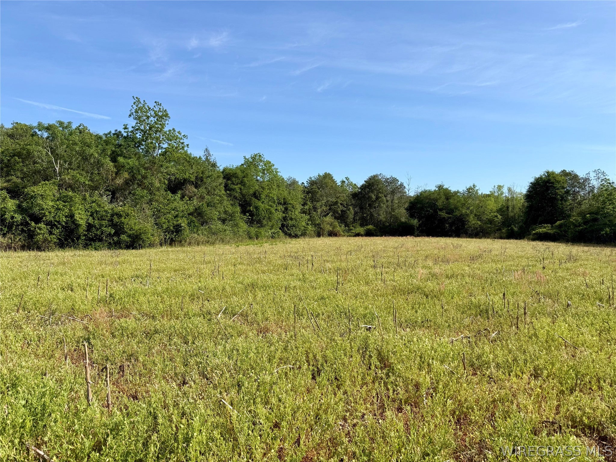 14.57-acres Red Oak Road Florala, AL 36442 - Photo 10 of 14 Gallery Image 10