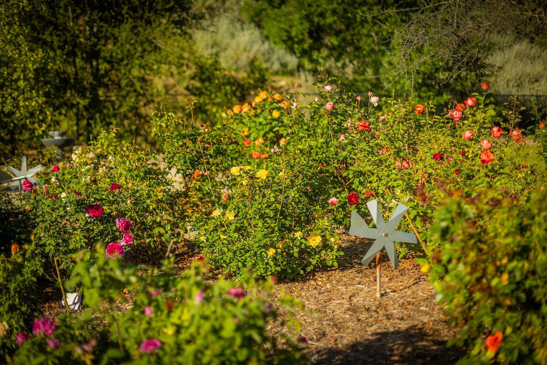 11849 Sulphur Mountain Road Ojai, CA 93023 - Photo 27 of 50 eVKaRo-X