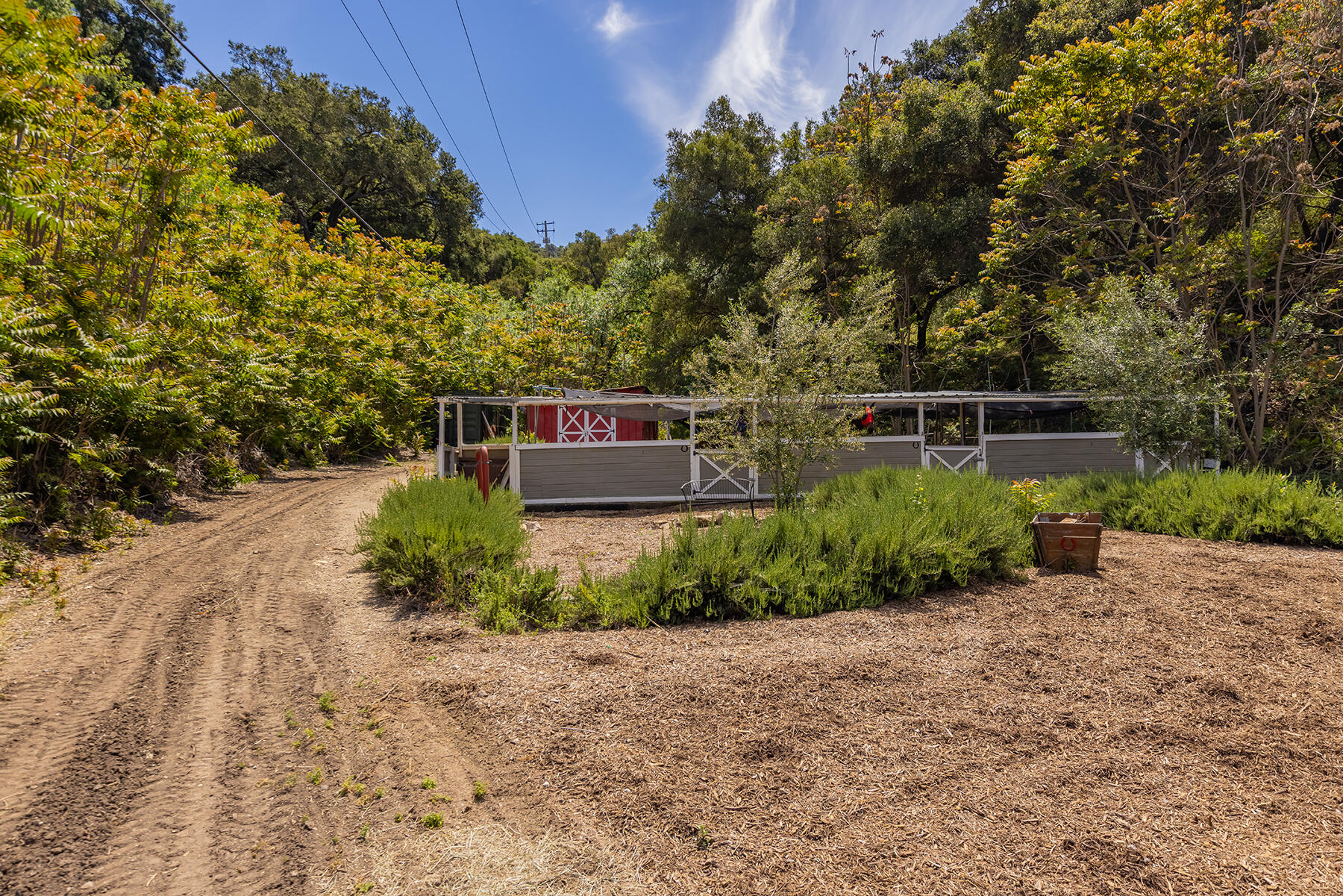 11849 Sulphur Mountain Road Ojai, CA 93023 - Photo 38 of 50 S8C_11849 Sulphur Mt noon_09