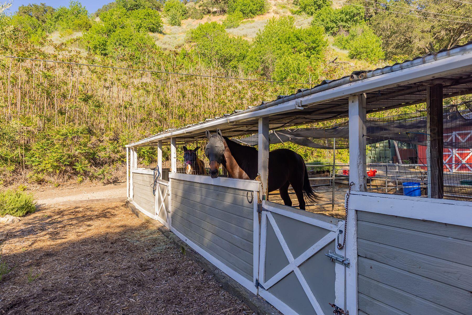 11849 Sulphur Mountain Road Ojai, CA 93023 - Photo 43 of 50 e7jzazcB