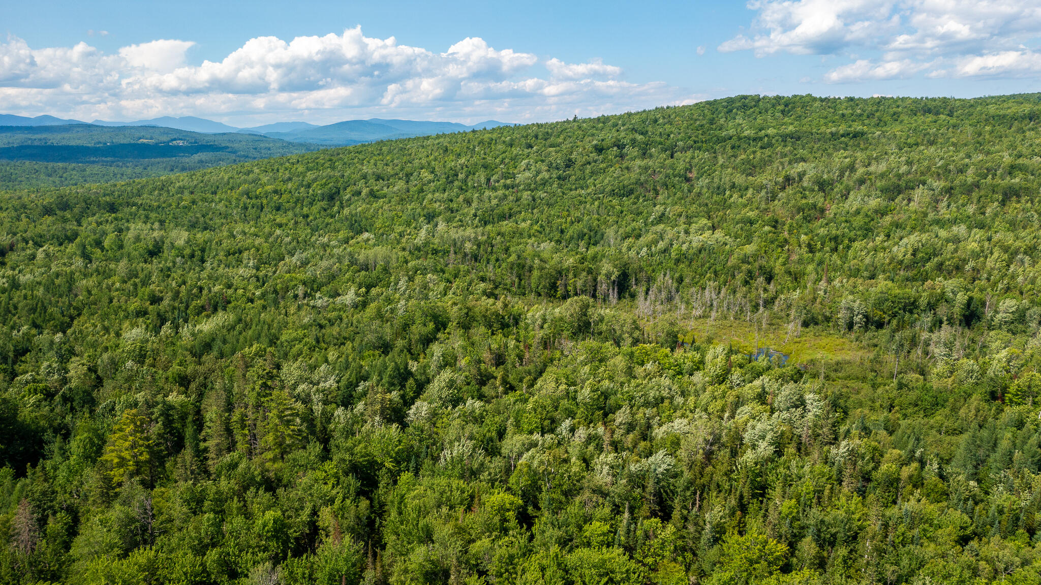0 Miller Road New Vineyard, ME 04956 - Photo 33 of 48 MNewportland-26