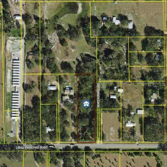 8529 Lithia Pinecrest Road Lithia, FL 33547 - Photo 12 of 12