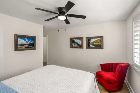 a view of a yard with plants and large trees