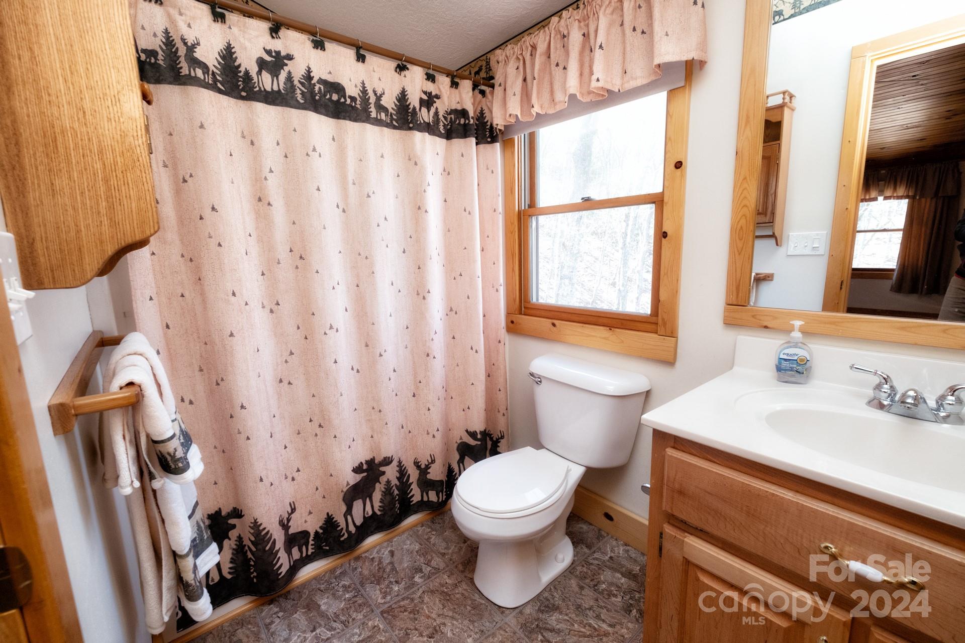546 Forest View Murphy, NC 28906 - Photo 18 of 27 Gallery Image 18