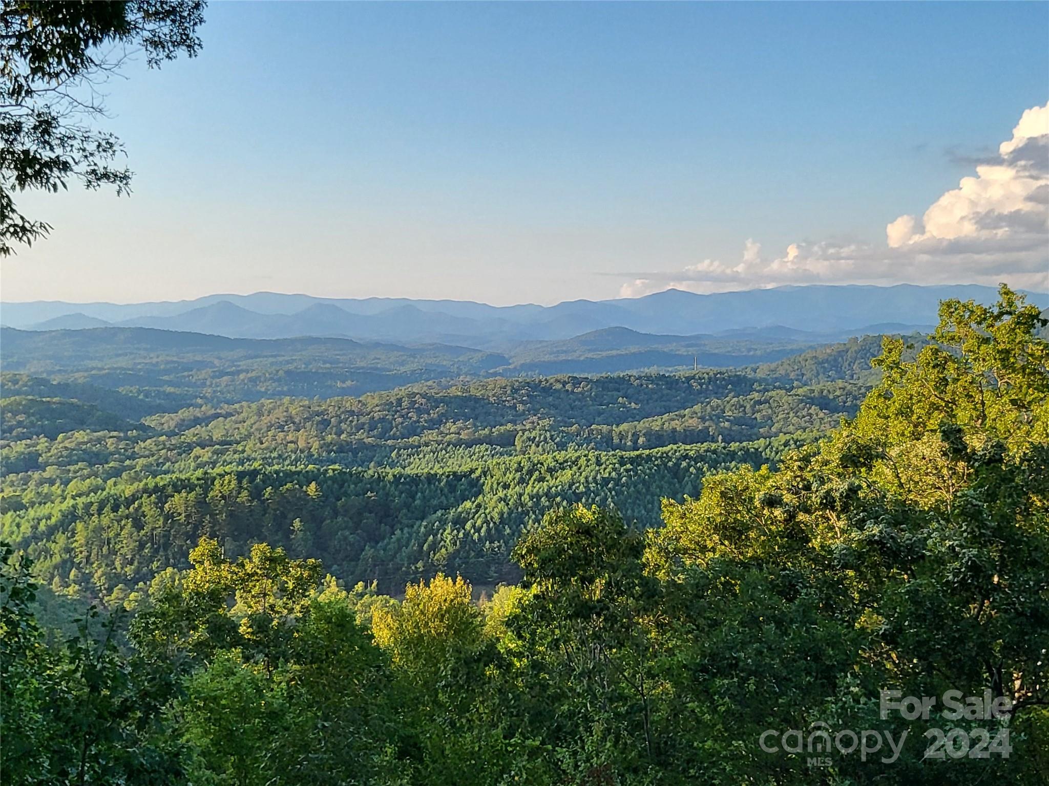 546 Forest View Murphy, NC 28906 - Photo 2 of 27 Gallery Image 2