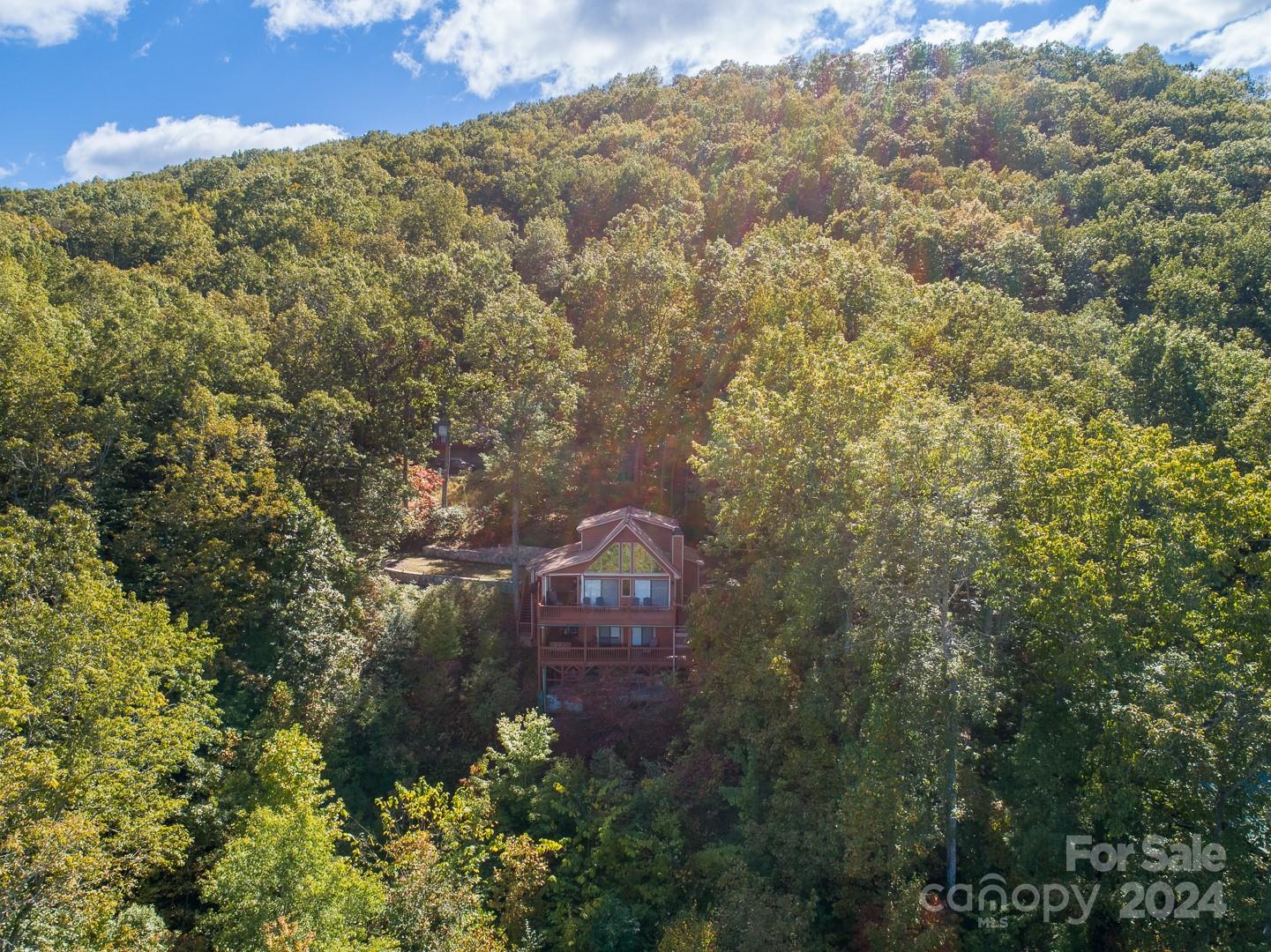 546 Forest View Murphy, NC 28906 - Photo 3 of 27 Gallery Image 3