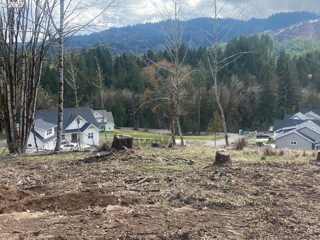 a view of a backyard with trees