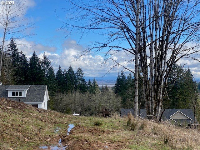 Hawthorne, Unit 9 Scappoose, OR 97056 - Photo 2 of 5 a backyard of a house with lots of green space