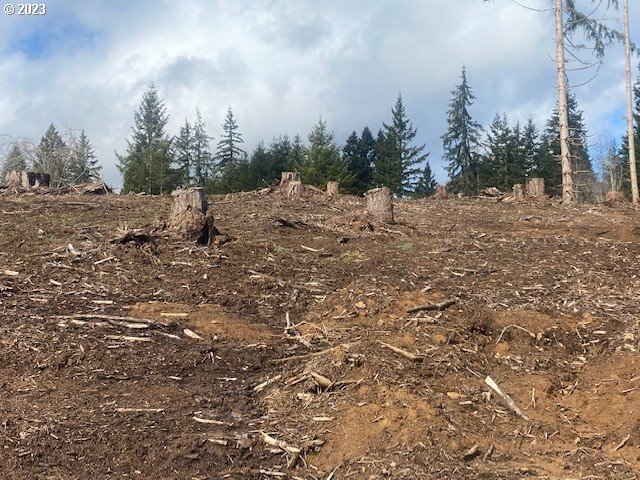 Hawthorne, Unit 9 Scappoose, OR 97056 - Photo 4 of 5 a view of a dry yard with trees