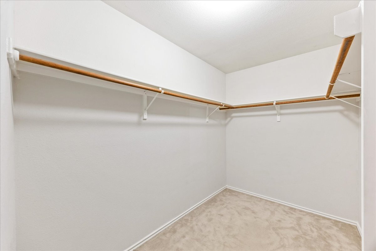 116 Devon's Cove Buda, TX 78610 - Photo 13 of 38 Walk in closet featuring carpet flooring