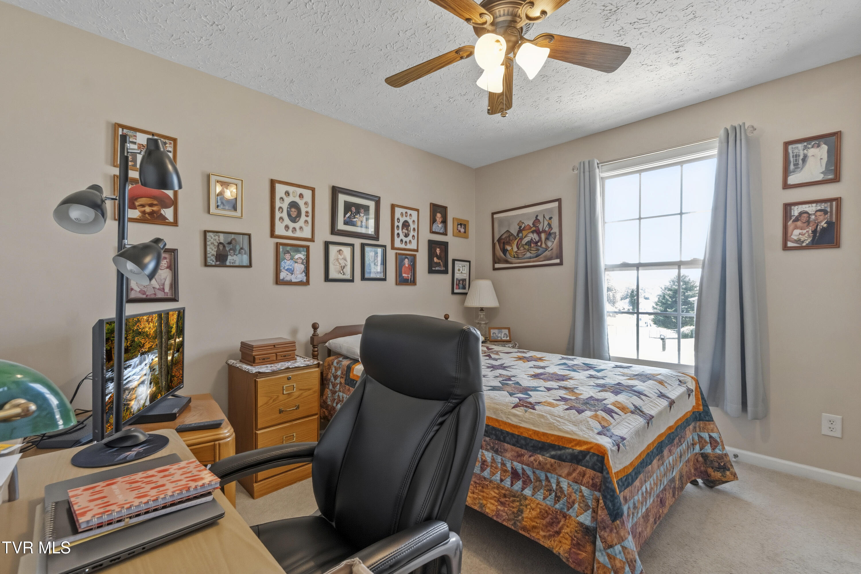58 Fairview Ridges Drive Afton, TN 37616 - Photo 32 of 50 DSC03364