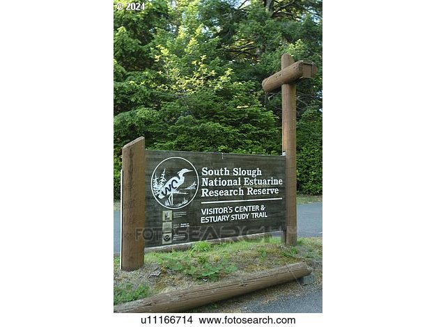 63618 South Barview Road Coos Bay, OR 97420 - Photo 41 of 47 Gallery Image 41