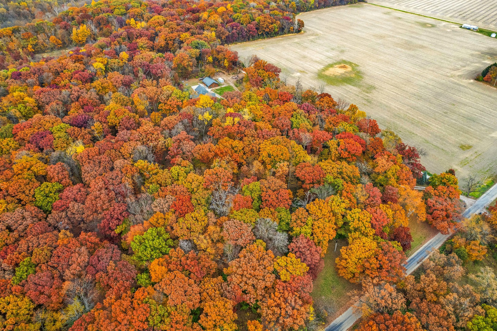 2045 North 3650th Road Serena, IL 60549 - Photo 42 of 53 a view of a yard