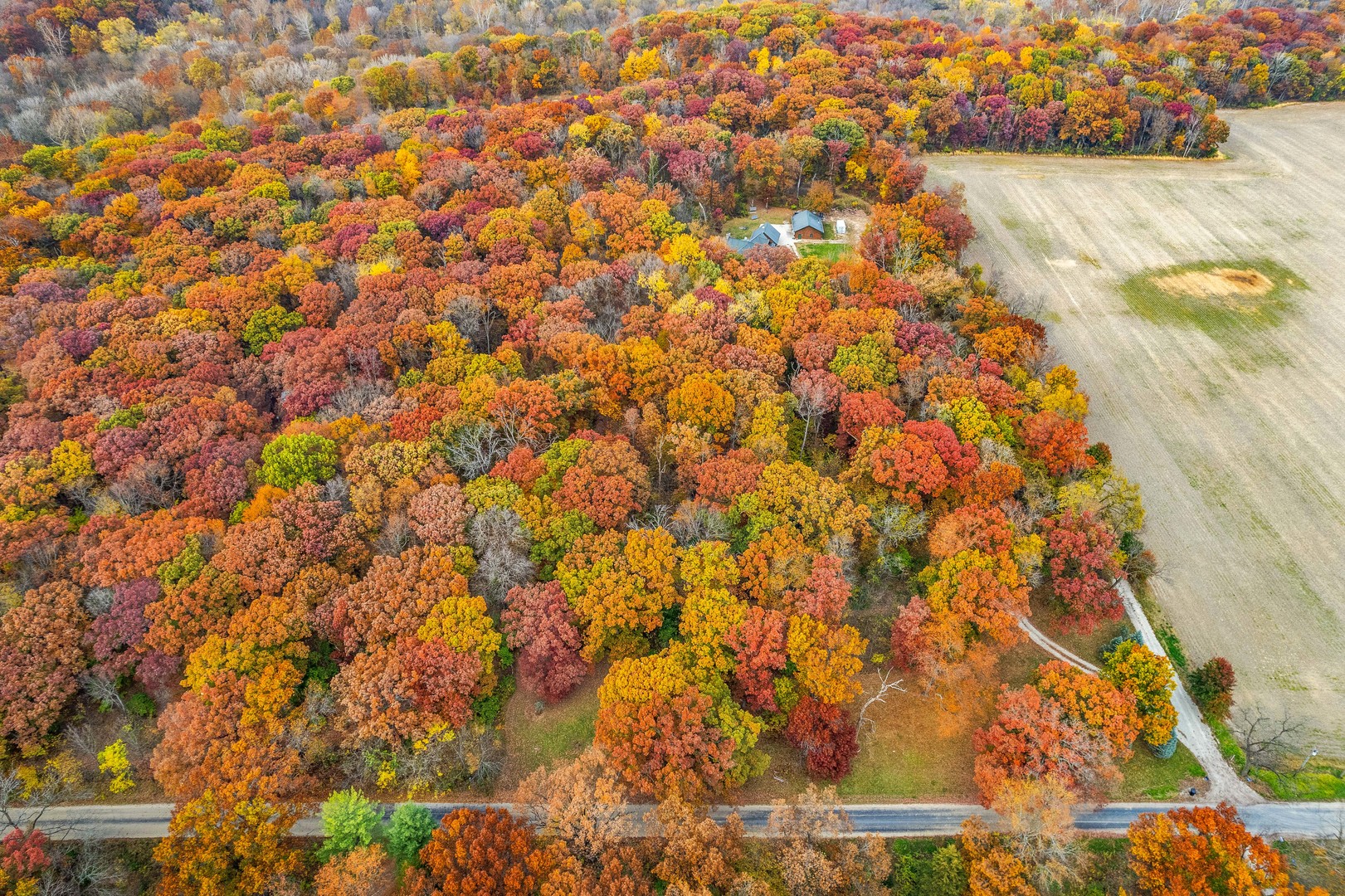 2045 North 3650th Road Serena, IL 60549 - Photo 44 of 53 a view of a yard