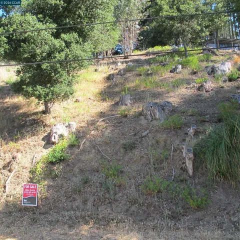 a view of outdoor space with trees all around