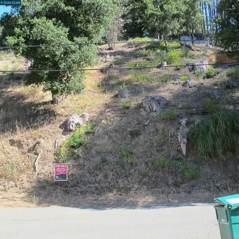 a view of outdoor space with signage and flags