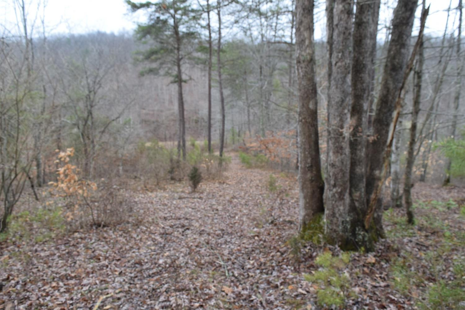 524 Centerville Road West Liberty, KY 41472 - Photo 20 of 28 Photo 20
