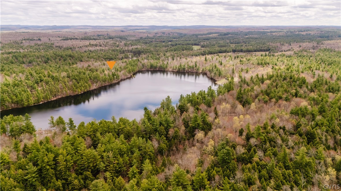 0 Bingo Road Edwards, NY 13635 - Photo 8 of 49
