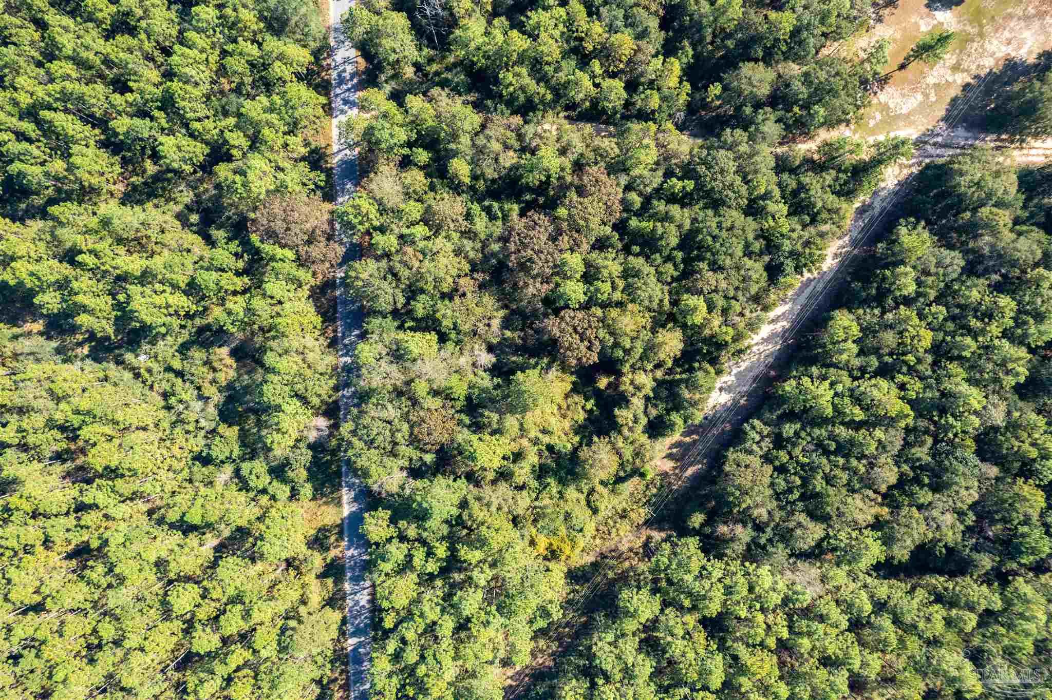 8985 Abb Pittman Road Milton, FL 32570 - Photo 1 of 9