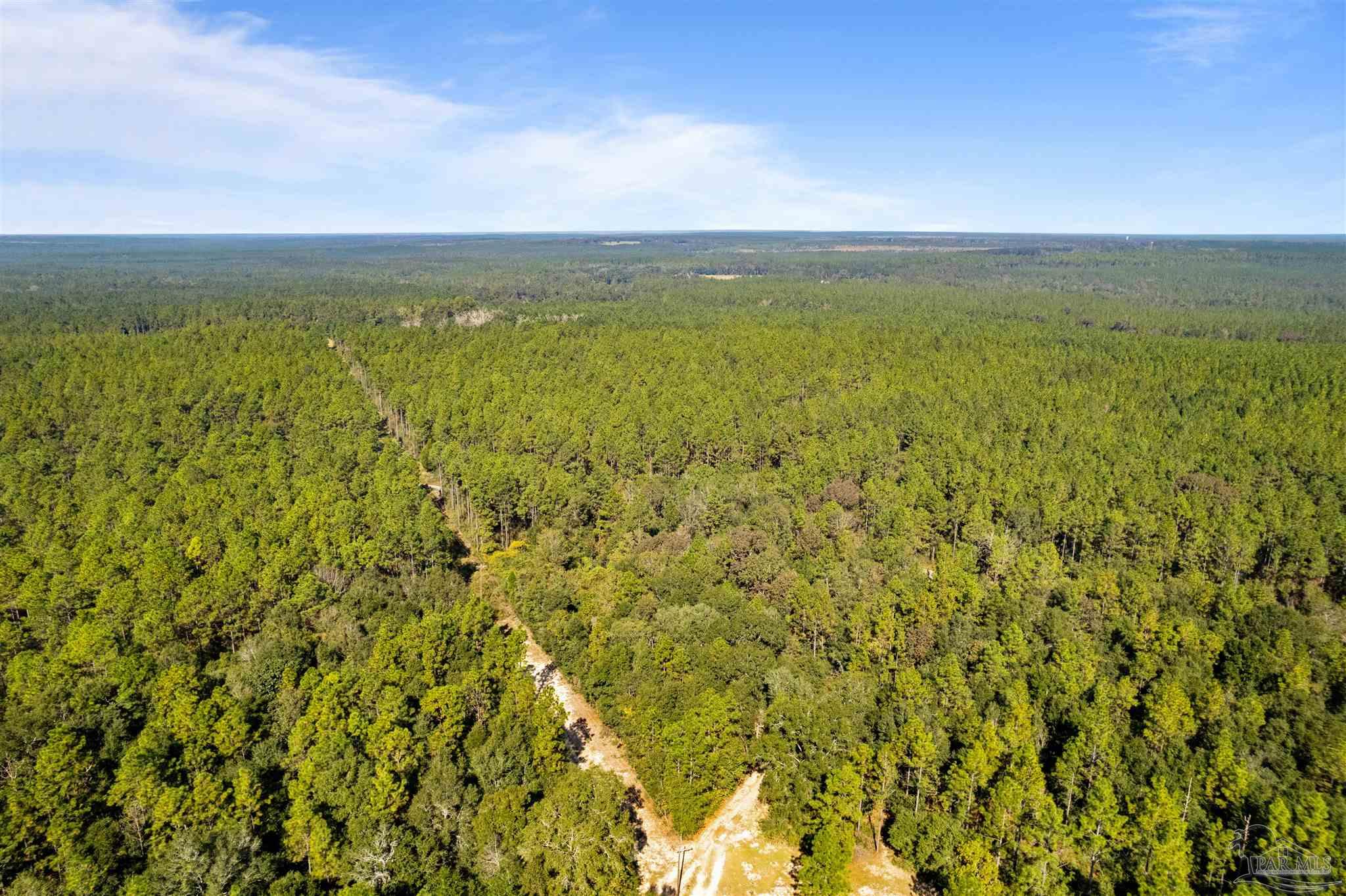 8985 Abb Pittman Road Milton, FL 32570 - Photo 2 of 9