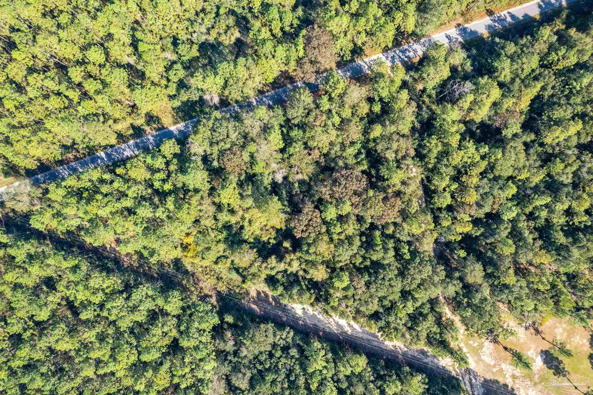 8985 Abb Pittman Road Milton, FL 32570 - Photo 4 of 9