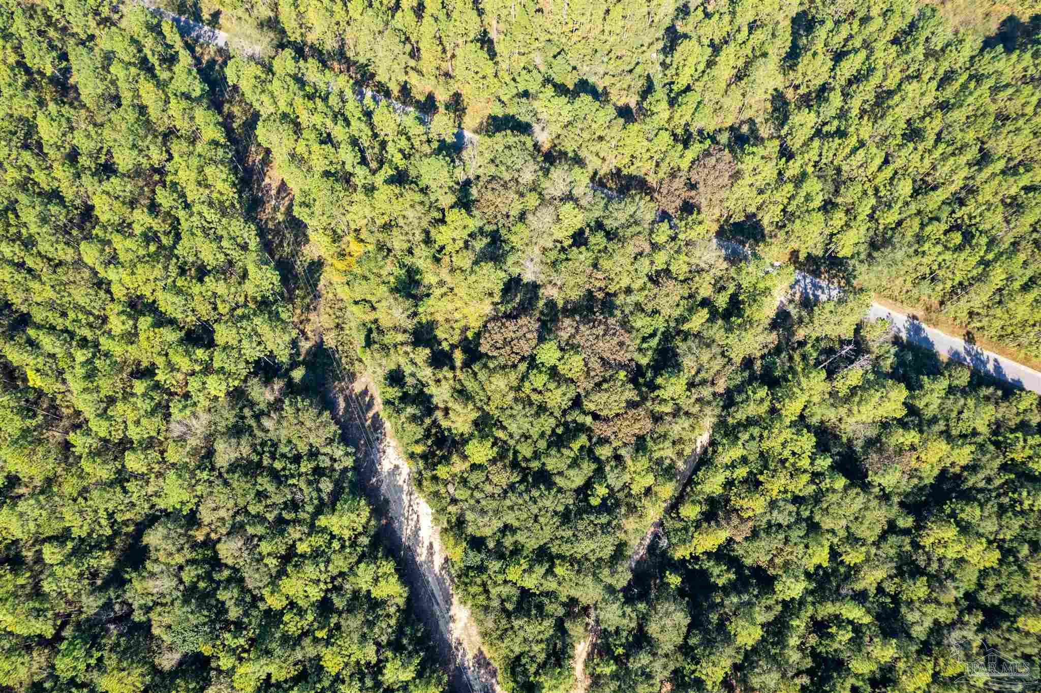 8985 Abb Pittman Road Milton, FL 32570 - Photo 8 of 9