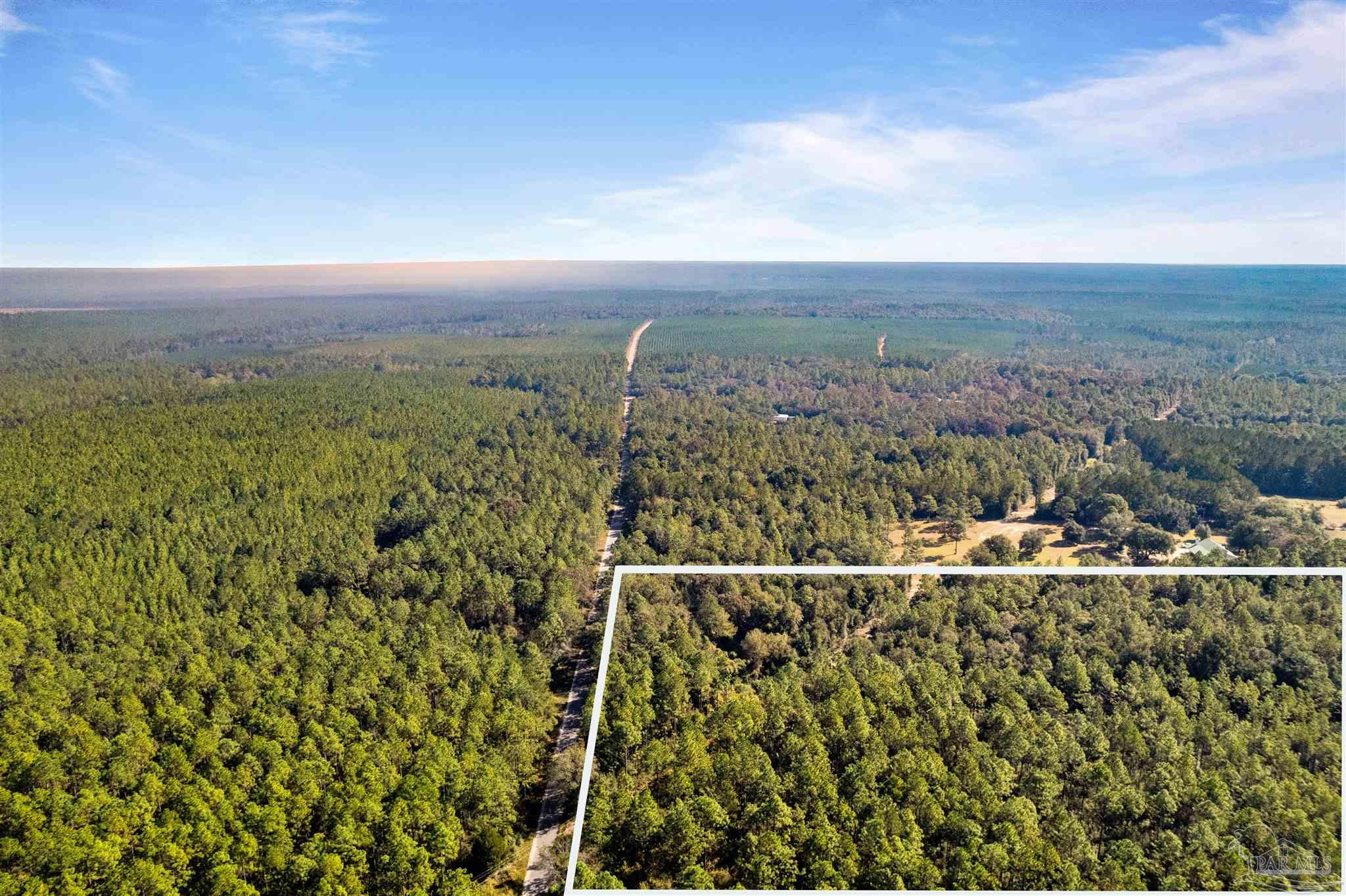 8985 Abb Pittman Road Milton, FL 32570 - Photo 9 of 9