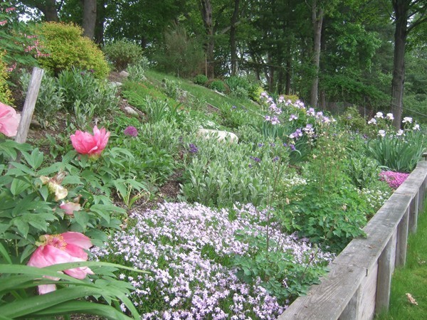 17 Copeland Road Framingham, MA 01701 - Photo 16 of 21 Gallery Image 16