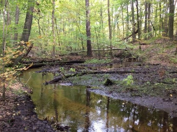 2010 West Dick Road Fenwick, MI 48834 - Photo 1 of 19 creek