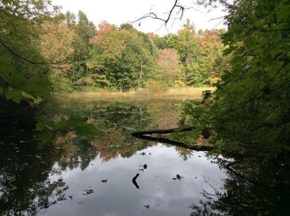 2010 West Dick Road Fenwick, MI 48834 - Photo 18 of 19 pond