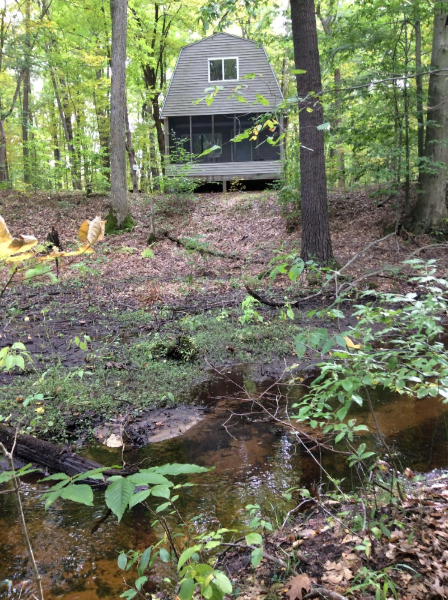 2010 West Dick Road Fenwick, MI 48834 - Photo 2 of 19 cabin stream