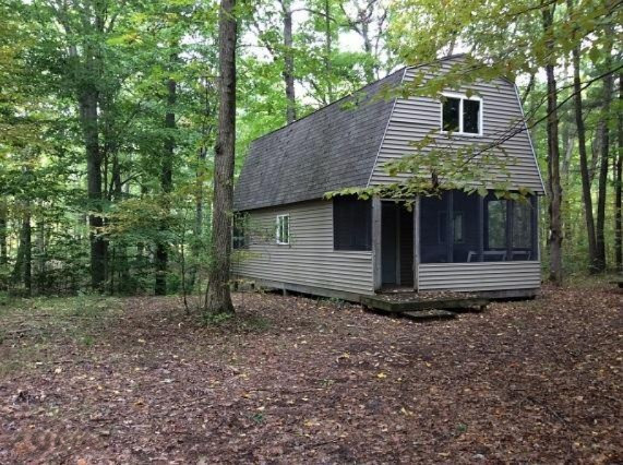 2010 West Dick Road Fenwick, MI 48834 - Photo 3 of 19 cabin 1
