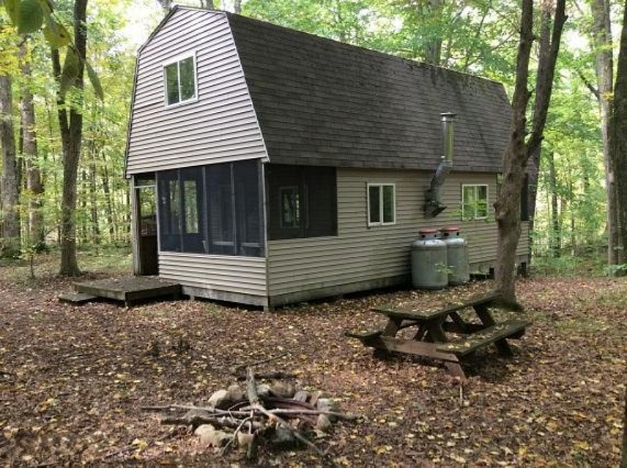 2010 West Dick Road Fenwick, MI 48834 - Photo 4 of 19 cabin 2