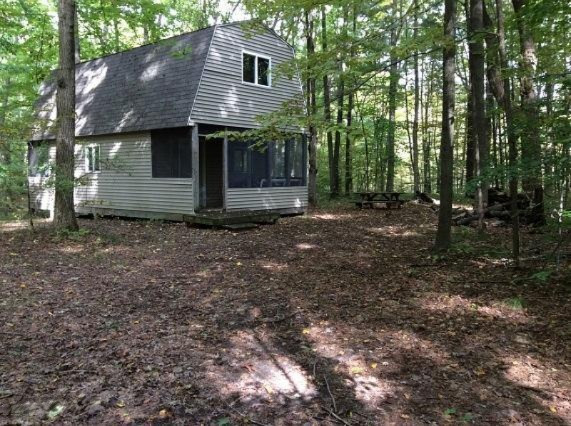 2010 West Dick Road Fenwick, MI 48834 - Photo 5 of 19 cabin 3