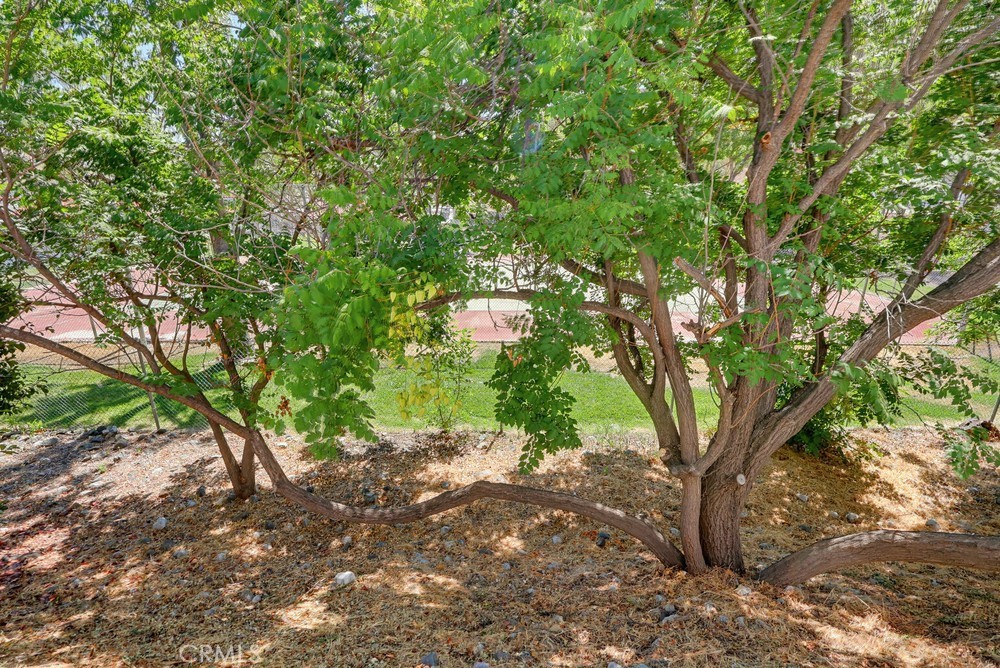 31244 North Lakehills Road Castaic, CA 91384 - Photo 63 of 72 Exterior view