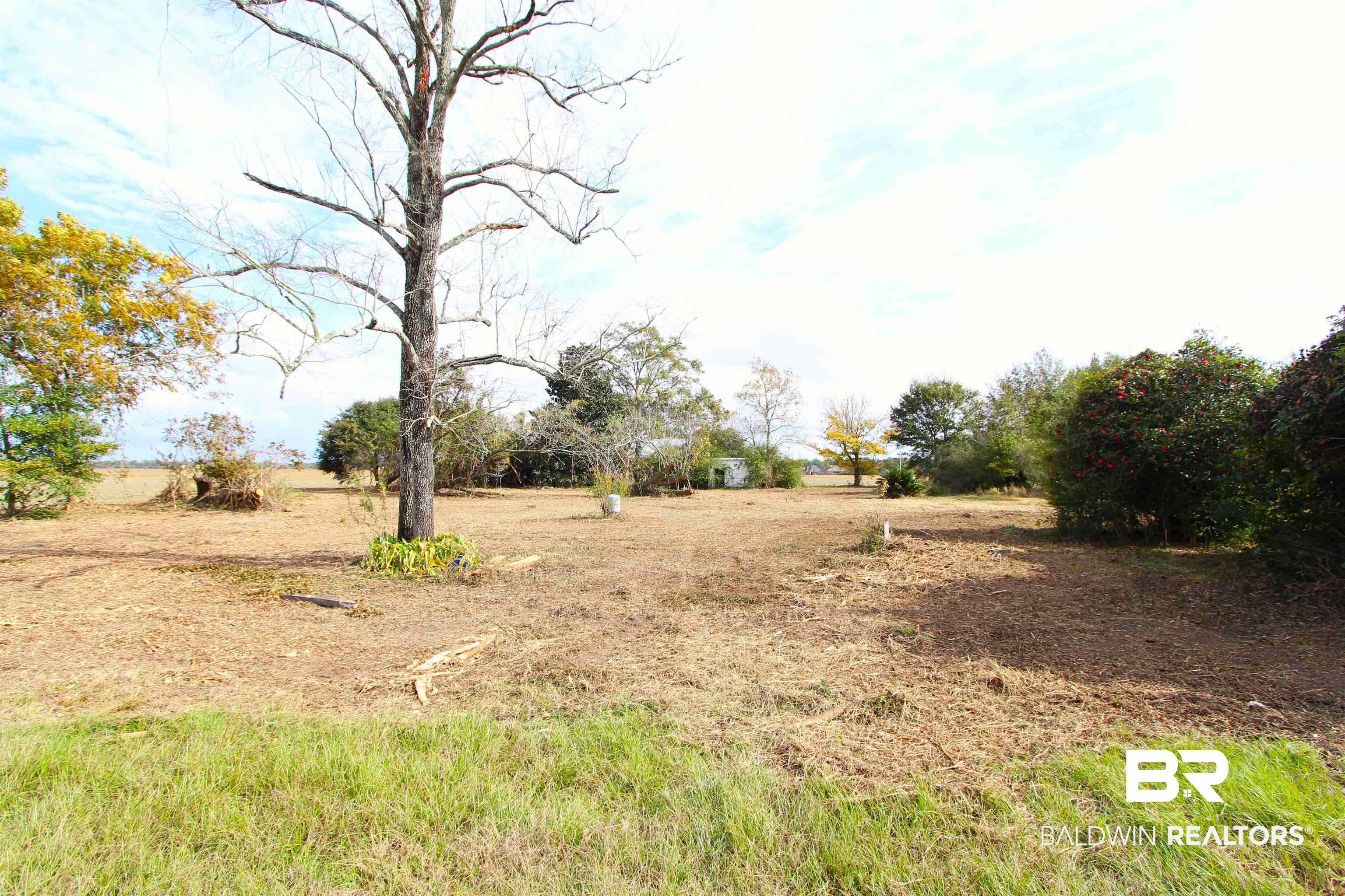 15274 Daugherty Road Foley, AL 36535 - Photo 2 of 5 Magnolia Trees