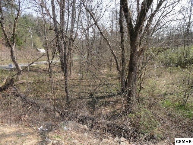 3 Jones Cove Road Sevierville, TN 37876 - Photo 4 of 6